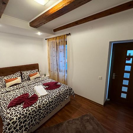 Iazi Apartament Braszów Zewnętrze zdjęcie