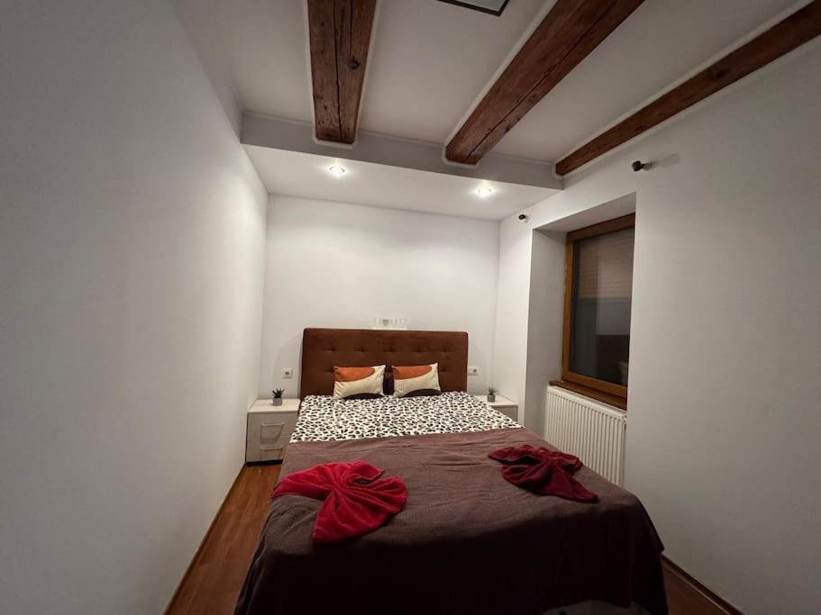 Iazi Apartament Braszów Zewnętrze zdjęcie