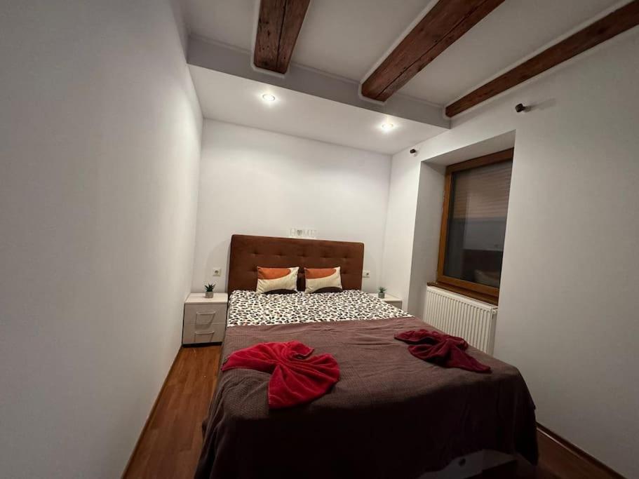 Iazi Apartament Braszów Zewnętrze zdjęcie