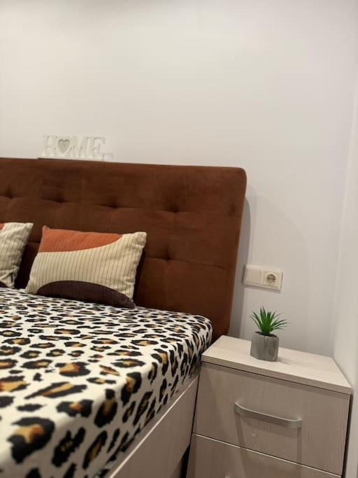 Iazi Apartament Braszów Zewnętrze zdjęcie
