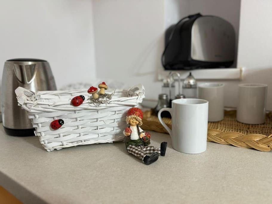 Iazi Apartament Braszów Zewnętrze zdjęcie