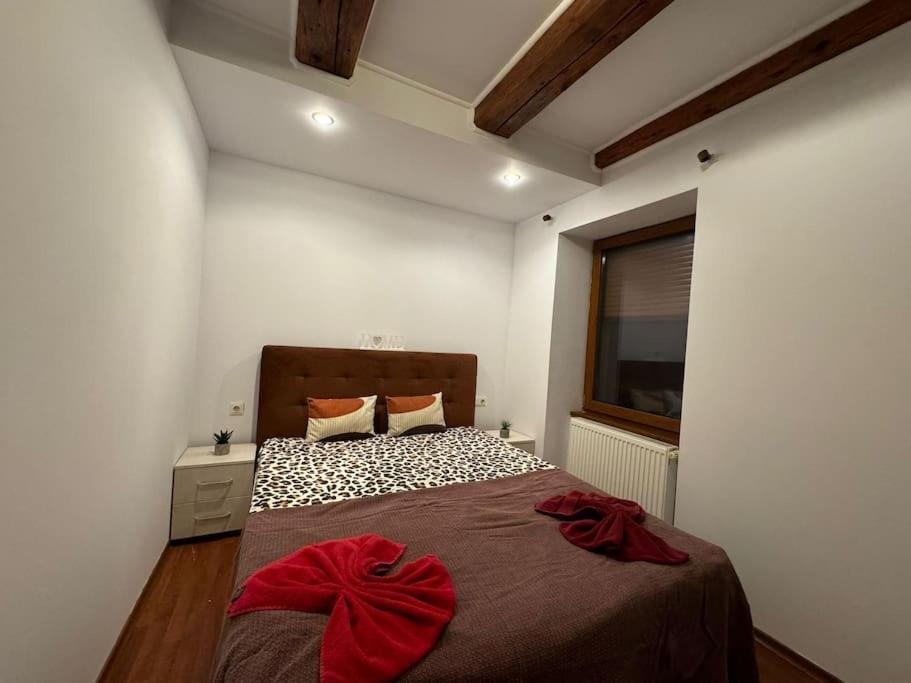 Iazi Apartament Braszów Zewnętrze zdjęcie