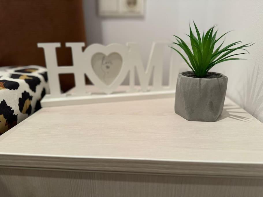 Iazi Apartament Braszów Zewnętrze zdjęcie